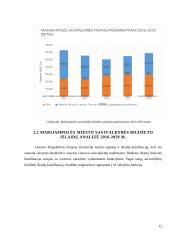 Marijampolės savivaldybės biudžeto analizė 2016-2020 metais 11 puslapis