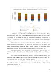 Marijampolės savivaldybės biudžeto analizė 2016-2020 metais 12 puslapis