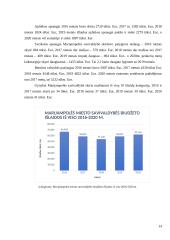 Marijampolės savivaldybės biudžeto analizė 2016-2020 metais 13 puslapis