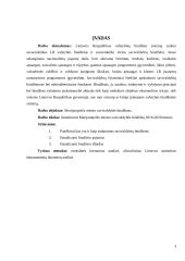 Marijampolės savivaldybės biudžeto analizė 2016-2020 metais 2 puslapis