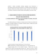 Marijampolės savivaldybės biudžeto analizė 2016-2020 metais 9 puslapis