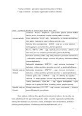 Lean metodų ir tobulinimo tipų analizė 10 puslapis