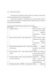 Lean metodų ir tobulinimo tipų analizė 11 puslapis