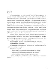 Lean metodų ir tobulinimo tipų analizė 4 puslapis