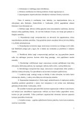 Lean metodų ir tobulinimo tipų analizė 6 puslapis