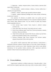 Lean metodų ir tobulinimo tipų analizė 7 puslapis