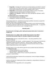 Juoko kultūros teorija 2 puslapis