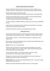 Juoko kultūros teorija 11 puslapis