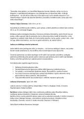 Juoko kultūros teorija 15 puslapis