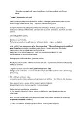 Juoko kultūros teorija 17 puslapis