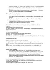 Juoko kultūros teorija 8 puslapis