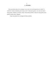 Viešųjų ryšių planas: UAB "Ingman ledai" 6 puslapis