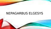 Nepagarbus elgesys