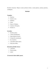 Pagrindinė biografija apie Viljamą Šekspyrą bei jo kūryba 5 puslapis