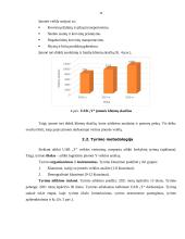 Logistinės įmonės „Y“ veiklos analizė 11 puslapis