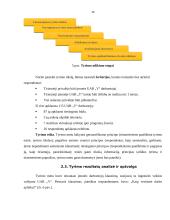 Logistinės įmonės „Y“ veiklos analizė 12 puslapis