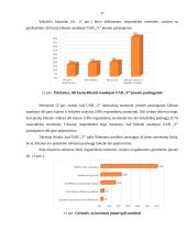 Logistinės įmonės „Y“ veiklos analizė 17 puslapis