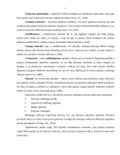 Logistinės įmonės „Y“ veiklos analizė 7 puslapis