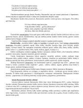 A. Baranausko poemos "Anykščių šilelis" analizė 13 puslapis