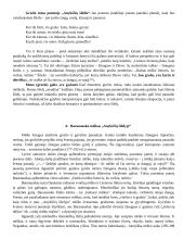 A. Baranausko poemos "Anykščių šilelis" analizė 16 puslapis