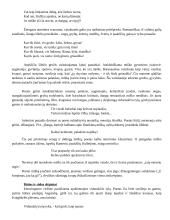 A. Baranausko poemos "Anykščių šilelis" analizė 8 puslapis