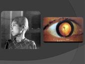 Bomba sukrėtusi pasaulį 13 puslapis