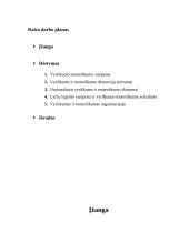 Vyriškumo-moteriškumo dimensija 3 puslapis