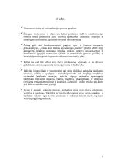 Vyro ir moters vaidmenų kaita šeimoje pagal M. Weberį 9 puslapis