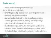 Kraujotakos sistema (systema cardiovasculare) 12 puslapis
