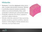 Kraujotakos sistema (systema cardiovasculare) 18 puslapis