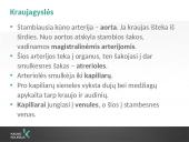 Kraujotakos sistema (systema cardiovasculare) 3 puslapis