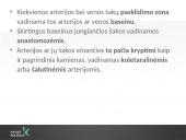 Kraujotakos sistema (systema cardiovasculare) 4 puslapis