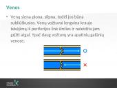 Kraujotakos sistema (systema cardiovasculare) 7 puslapis