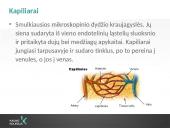 Kraujotakos sistema (systema cardiovasculare) 8 puslapis