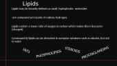 Carbohydrates and lipids 17 puslapis