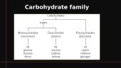Carbohydrates and lipids 7 puslapis