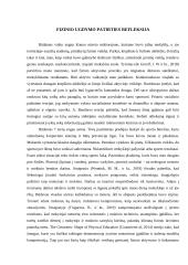 Fizinio ugdymo patirties refleksija paremta teorijomis 2 puslapis