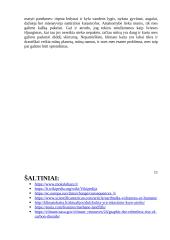 Žmonių daroma įtaka atmosferai ir klimatui 11 puslapis