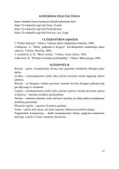 „Kelias į nežinią“. Tapyba 11 puslapis