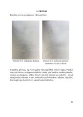 „Kelias į nežinią“. Tapyba 12 puslapis