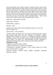 „Kelias į nežinią“. Tapyba 5 puslapis