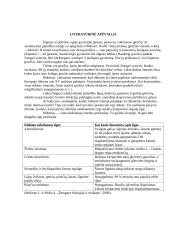 Šių laikų žmonių žalingi įpročiai 3 puslapis