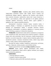 Žingsniai į sėkmę su LOKI 2 puslapis