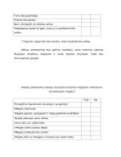 Žingsniai į sėkmę su LOKI 5 puslapis