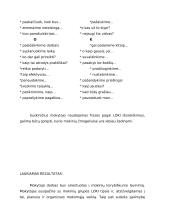 Žingsniai į sėkmę su LOKI 10 puslapis