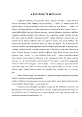 Kiaušinių gamybos organizavimas 12 puslapis