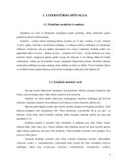 Kiaušinių gamybos organizavimas 4 puslapis