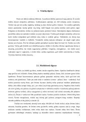 Triušių elgesio rūšys 4 puslapis