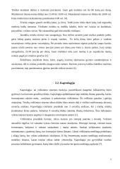 Triušių elgesio rūšys 5 puslapis