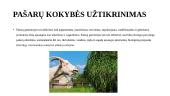 Ožkų pašarų gamyba ir kokybės kontrolė 3 puslapis